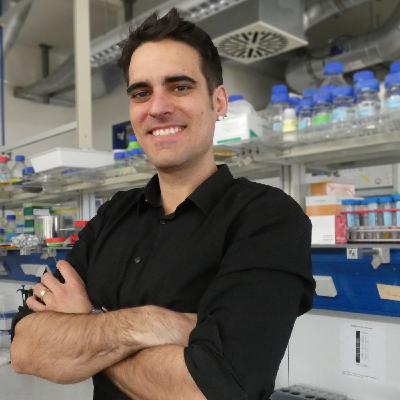 The Great Salt Lake and the oldest stories of life The Great Salt Lake and the oldest stories of life