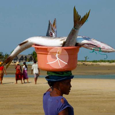 依海为生的维佐人，疗愈了我的身份焦虑｜保湿森林19