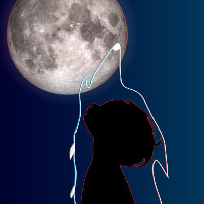 (La) Normalmente (La) Normalmente